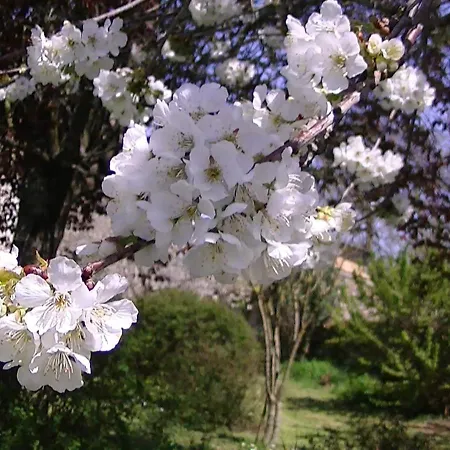 Guest house Domaine De L'estuaire Saint-Thomas-de-Conac
