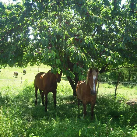 Domaine De L'estuaire Gæstehus 3*