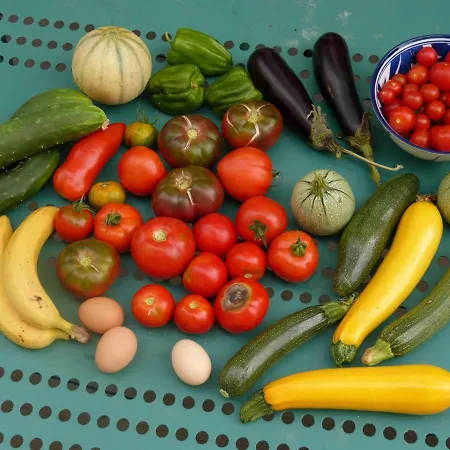 Gæstehus Domaine De L'estuaire 3*