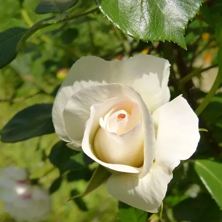 Guest house Domaine De L'estuaire Saint-Thomas-de-Conac