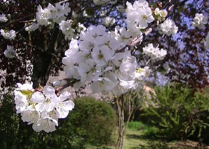 Maison d'hôtes Domaine De L'estuaire Saint-Thomas-de-Cônac